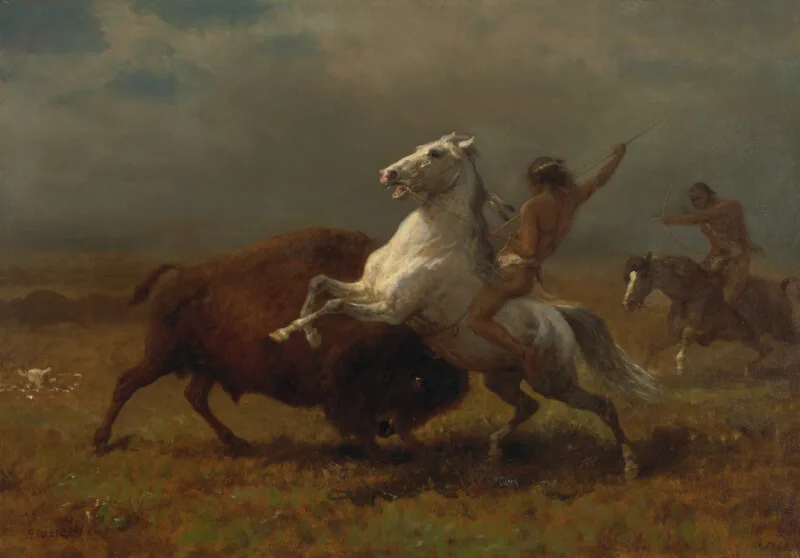 Albert Bierstadt, Study for "The Last of the Buffalo" at the de Young